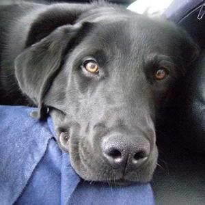 Meet your Posher, Scott